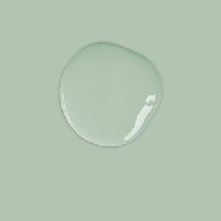 CHALK PAINT Duck Egg Blue Annie Sloan