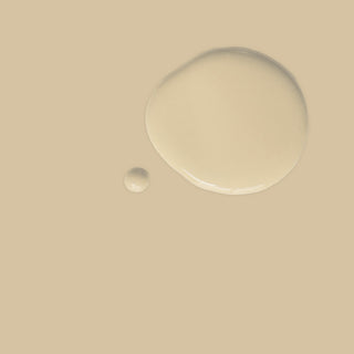 CHALK PAINT  Old Ochre Annie Sloan