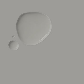 CHALK PAINT Paris Grey Annie Sloan