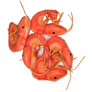 Can O' Shrimp - EcoFriendly Plush Gift for Fishermen w/Jokes: Pop Top Lid