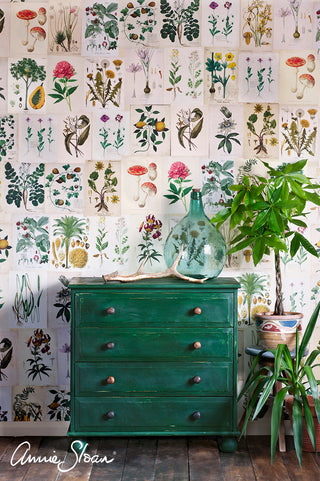 CHALK PAINT Amsterdam Green Annie Sloan