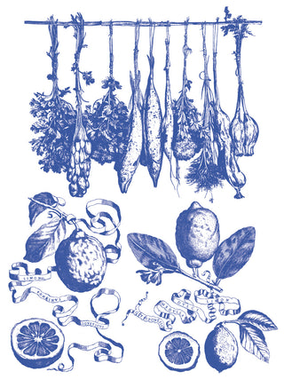 IOD 2025 Portofino Paint Inlay Iron Orchid Designs