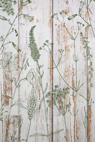 Stamp IOD Sprigs Iron Orchid Designs DIY stamps