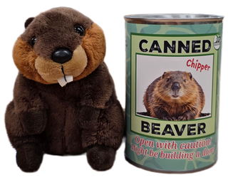 Chipper the Canned Beaver | Stuffed Animal Plush w/Jokes: Pop Top Lid