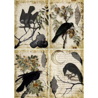 RAVEN GRIMOIRE 4 designs A4 Rice Decoupage Paper for Furniture || Decoupage Queen || Washi Rice Printed Napkin || Halloween Black Bird