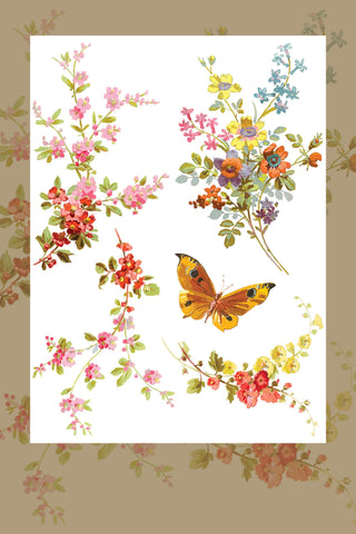 IOD Saint Germain Rub-On Decal Transfer