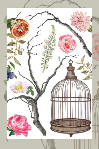 IOD Menagerie Rub-On Decal Transfer