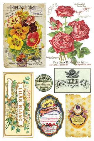 Transfer Ephemeral Melange IOD