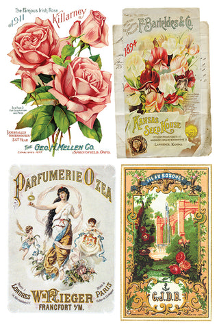 Transfer Ephemeral Melange IOD