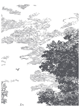 Paint Inlay Summer Villa IOD