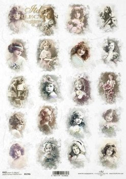 ITD Collection Sweetest Rose Portraits