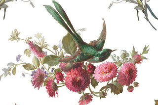 SPRING 2026 IOD COLLECTION