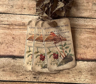 Beautiful Gift Tags MUSHROOM- SINGLE or pkg/3: Pkg/3
