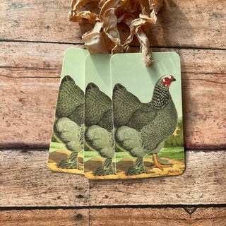 Beautiful Gift Tags PLYMOUTH - SINGLE or pkg/3 : Pkg/3