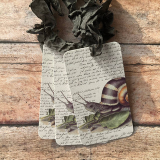Beautiful Gift Tags SNAIL - SINGLE or pkg/3: Pkg/3