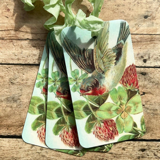 Beautiful Gift Tags Bird w/clover  SINGLE or pkg/3  : Pkg/3