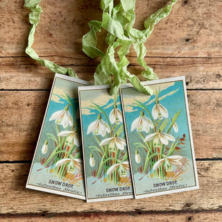 Beautiful Gift Tags Snowdrops - Single or Pkg/3: Pkg/3