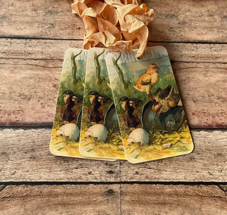 Beautiful Gift Tags CHICKS - SINGLE or pkg/3   : Pkg/3