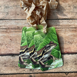 Beautiful Gift Tags FROG - SINGLE or pkg/3 : Pkg/3