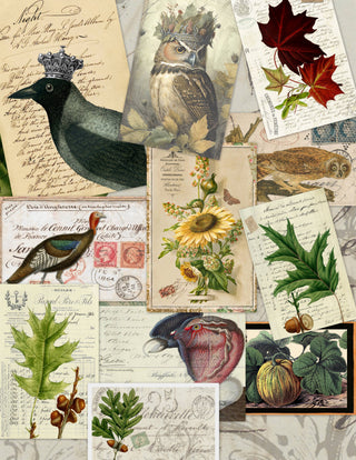 Assorted 11" x 17"  25 Piece Fall Papers Collection