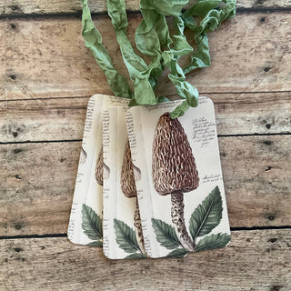 Beautiful Gift Tags mushroom - SINGLE or pkg/3: Pkg/3
