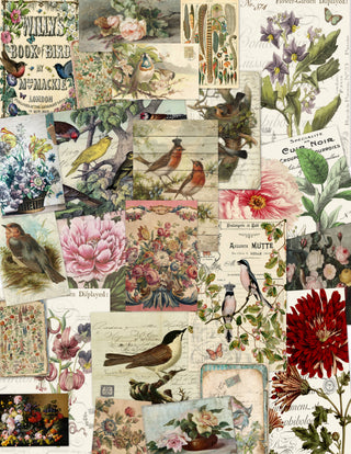Assorted 11" x 17"   50 Piece Birds, Nests & Florals