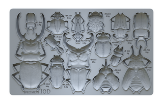 SPECIMENS IOD MOULD