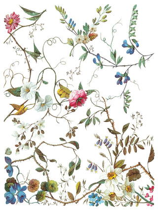 IOD 2025 Lost Garden IOD Rub-On Decal Transfer for Furniture Decor Transfer for DIY Furniture Makeovers & Unique Home Decor Project