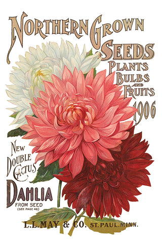 Transfer Seed Catalogue IOD Bestseller