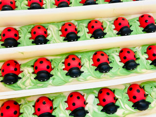 Ladybug Handmade Soap Bar for Kids VEGAN COLD PROCESS