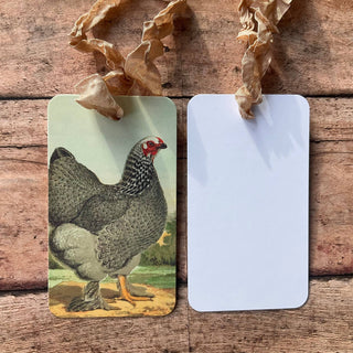 Beautiful Gift Tags PLYMOUTH - SINGLE or pkg/3 : Pkg/3