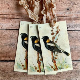 Beautiful Gift Tags Ant. Bird - SINGLE or pkg/3: Pkg/3