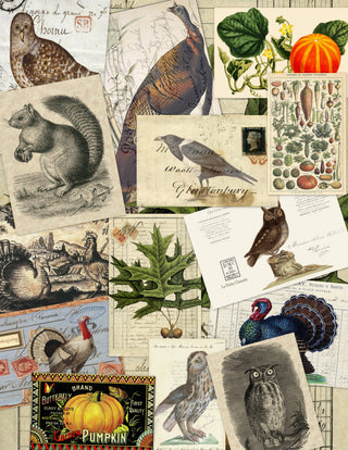 Assorted 11" x 17"  25 Piece Fall Papers Collection