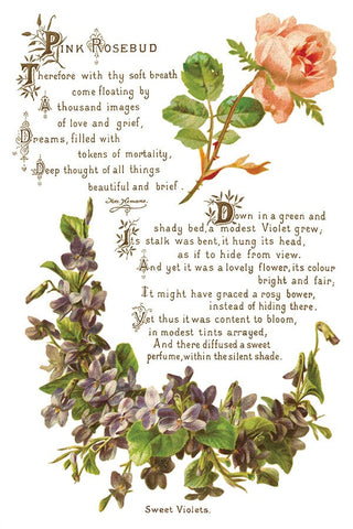 IOD Lover of Flowers Iron Orchid Designs Transfer rub on transfer for Furniture Decor DIY Furniture Makeovers & Unique Home Decor Projects