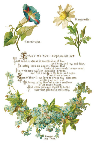 IOD Lover of Flowers Iron Orchid Designs Transfer rub on transfer for Furniture Decor DIY Furniture Makeovers & Unique Home Decor Projects