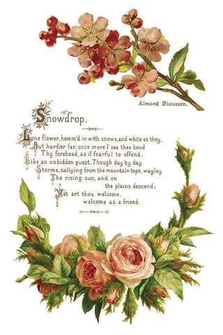 IOD Lover of Flowers Iron Orchid Designs Transfer rub on transfer for Furniture Decor DIY Furniture Makeovers & Unique Home Decor Projects