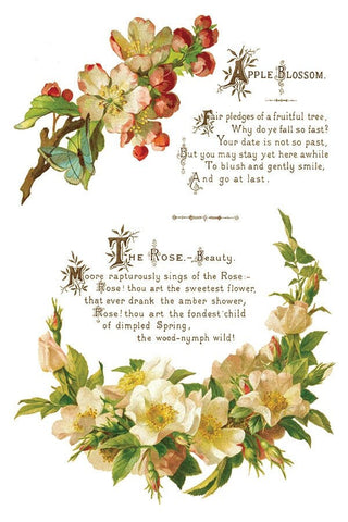 IOD Lover of Flowers Iron Orchid Designs Transfer rub on transfer for Furniture Decor DIY Furniture Makeovers & Unique Home Decor Projects