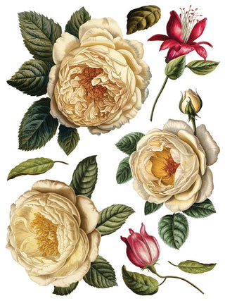 Collage De Fleurs Rub-On Decal Transfer Fancy Trims Furniture Decor IOD DIY Furniture Makeovers & Unique Home Decor Project Free Shipping