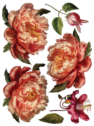 Collage De Fleurs Rub-On Decal Transfer Fancy Trims Furniture Decor IOD DIY Furniture Makeovers & Unique Home Decor Project Free Shipping