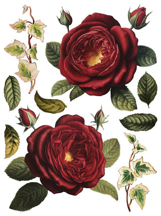 Collage De Fleurs Rub-On Decal Transfer Fancy Trims Furniture Decor IOD DIY Furniture Makeovers & Unique Home Decor Project Free Shipping