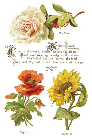 IOD Lover of Flowers Iron Orchid Designs Transfer rub on transfer for Furniture Decor DIY Furniture Makeovers & Unique Home Decor Projects