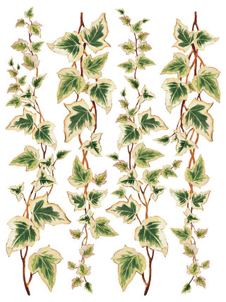 Collage De Fleurs Rub-On Decal Transfer Fancy Trims Furniture Decor IOD DIY Furniture Makeovers & Unique Home Decor Project Free Shipping