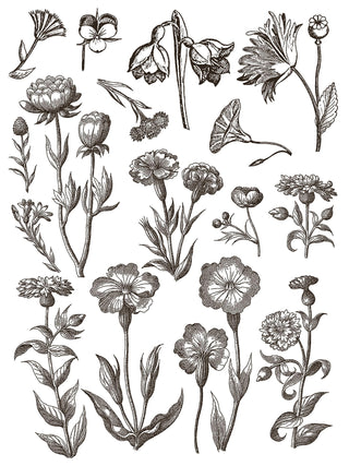 Floriography Paint Inlay IOD Summer Paint Inlay Transfer embellish furniture mixed media Journal Craft DIY Furniture Home Decor Mixed Media