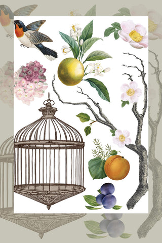 Menagerie New IOD Summer Rub-On Decal Transfer Furniture IOD Transfers for DIY Furniture Makeovers & Unique Home Projects