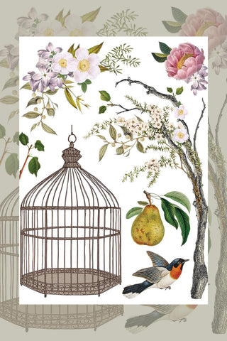 New IOD Summer Menagerie Rub-On Decal Transfer Furniture IOD Transfers for DIY Furniture Makeovers & Unique Home Projects