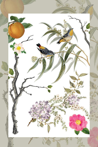 New IOD Summer Menagerie Rub-On Decal Transfer Furniture IOD Transfers for DIY Furniture Makeovers & Unique Home Projects