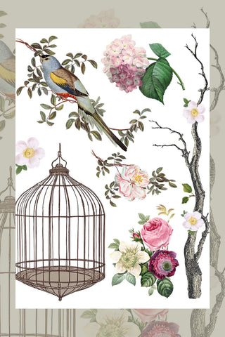 New IOD Summer Menagerie Rub-On Decal Transfer Furniture IOD Transfers for DIY Furniture Makeovers & Unique Home Projects