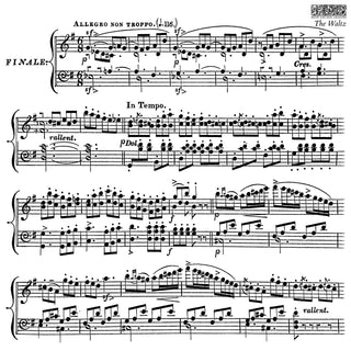 The Waltz IOD New Summer Stamp Rubber Silicone Stamp Home Decor DIY Furniture Stamp Custom personalize home decor