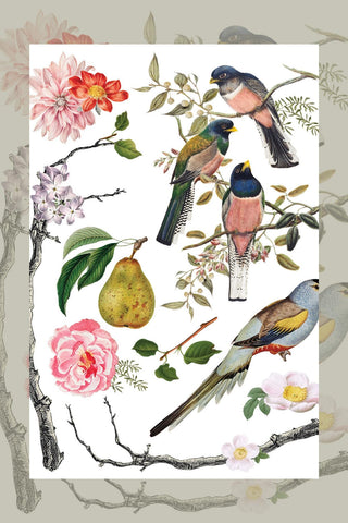 IOD Menagerie Rub-On Decal Transfer