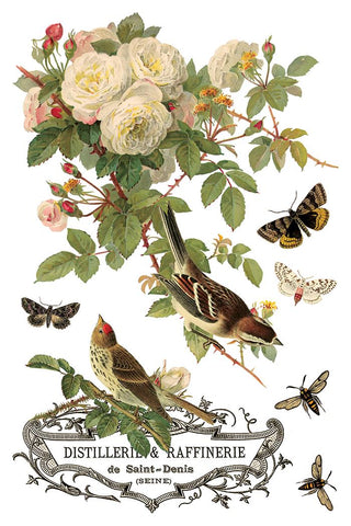 IOD New 2026 Spring By Any Other Name Transfer French Country Rub on Decal for Furniture Makeover Project Mixed Media Craft Art Junk Journal